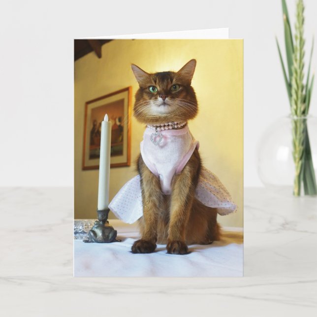 Carte Invitation, fête ou salut d'un chat somalien éléga (Devant)