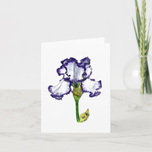Carte Iris à poils violet et blanc