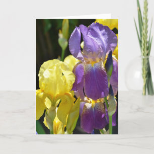Carte Iris au printemps