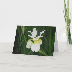 Carte Iris blanc
