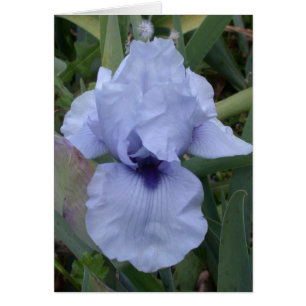Carte Iris Bleue Awsome