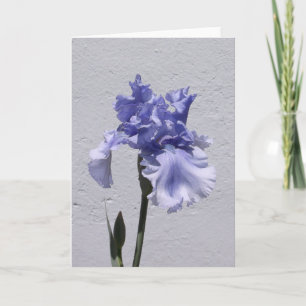 Carte Iris Bloom