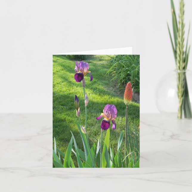 Carte Iris Bourgogne... (Devant)