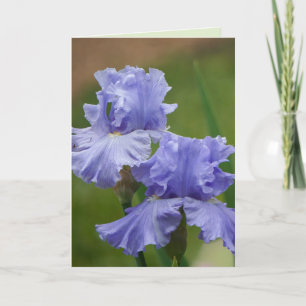 Carte Iris Délice