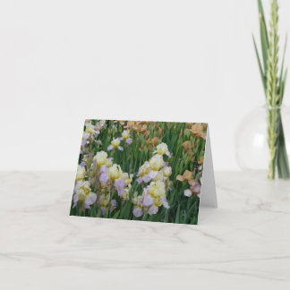 Carte Iris Enriched