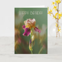 Iris floral art photographique rêveur