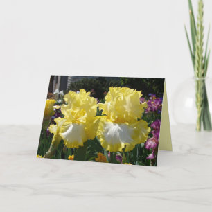 Carte Iris iris fleurs florales Fleur à harnais jaunes