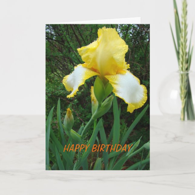 Carte Iris Jaune, Anniversaire (Devant)