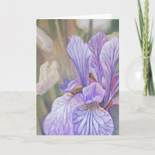 Carte Iris pourpre