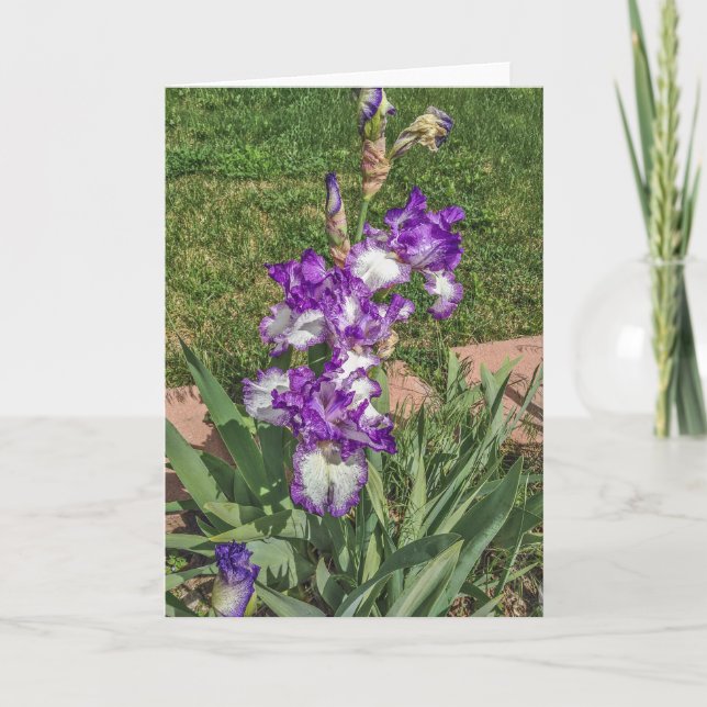 Carte Iris violet et blanc - Fête des mères, va bien (Devant)