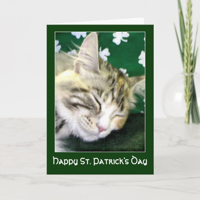 Carte Irish Cat Dreams St. Patrick's Day (Devant)