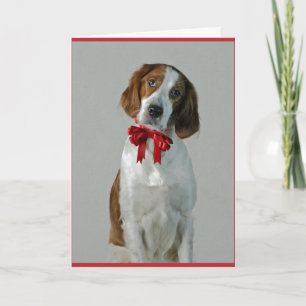 Carte Irish Red and White Setter Cookies Holiday Card