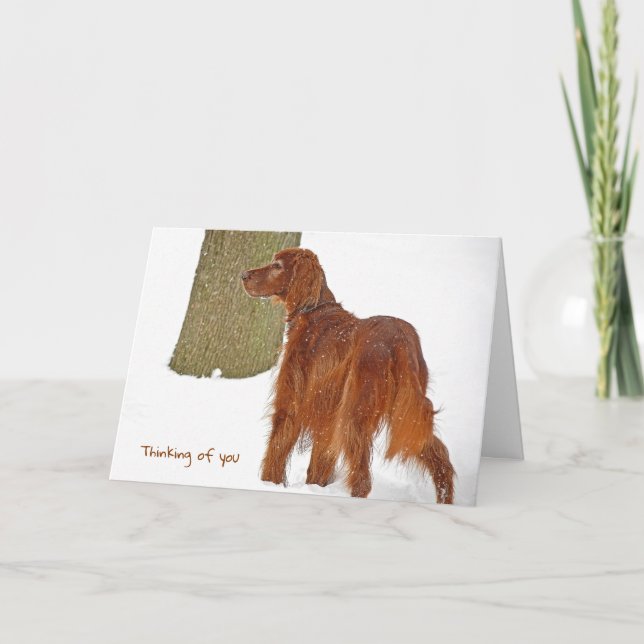 Carte Irish Setter dans la neige penser à vous (Devant)