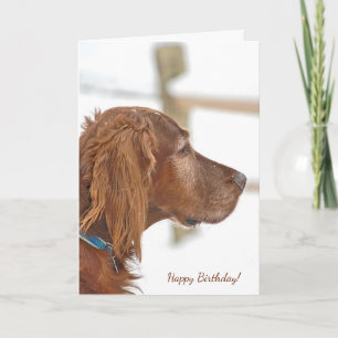 Carte Irish Setter dans la neige pour l'anniversaire