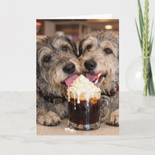 Carte Irish Wolfhounds d'anniversaire léchant un Float d