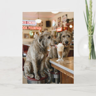 Carte Irish Wolfhounds fêtant leur anniversaire en buvan