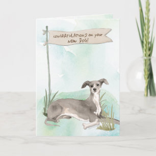 Carte Italie Greyhound Félicitations pour le nouveau chi
