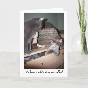 Carte It's been a while since we talked