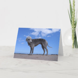 Carte ixus 057 de canon