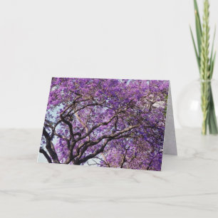 Carte Jacaranda dans les fleurs de printemps