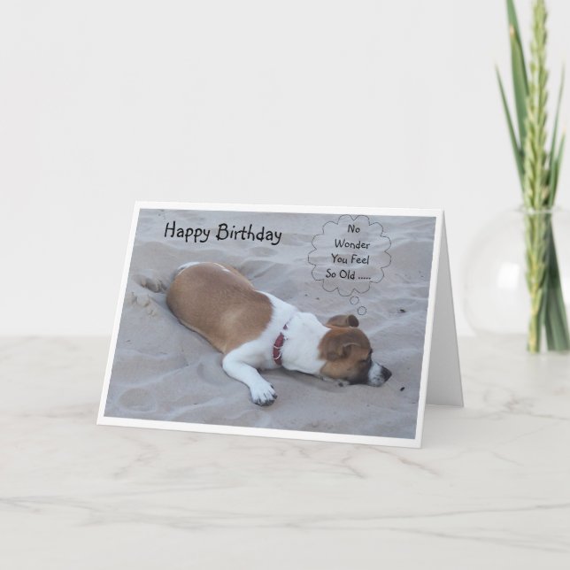 Carte Jack Russell Chien Anniversaire humoristique (Devant)