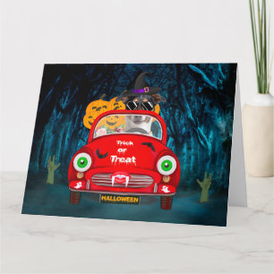 Carte Jack Russell Chien voiture voiture effrayant Hallo