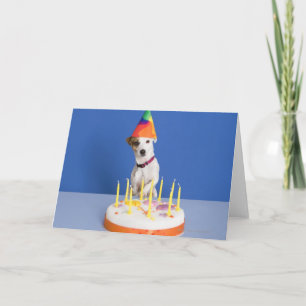 Carte Jack Russell Terrier chien portant casquette de fê