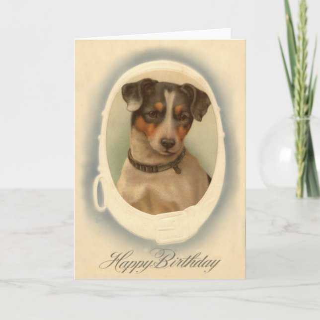 Carte Jack Russell Terrier Collet Anniversaire (Devant)