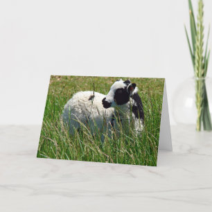 Carte Jacob Ram Lamb Fête des mères