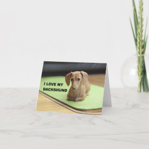 Carte J'adore mon dachshund à poil ras avec photo