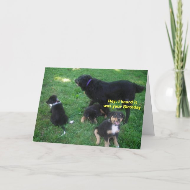 Carte J'ai entendu dire que c'était ton anniversaire (Devant)