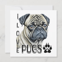 J'aime les Carlins | Propriétaires de chiens migno