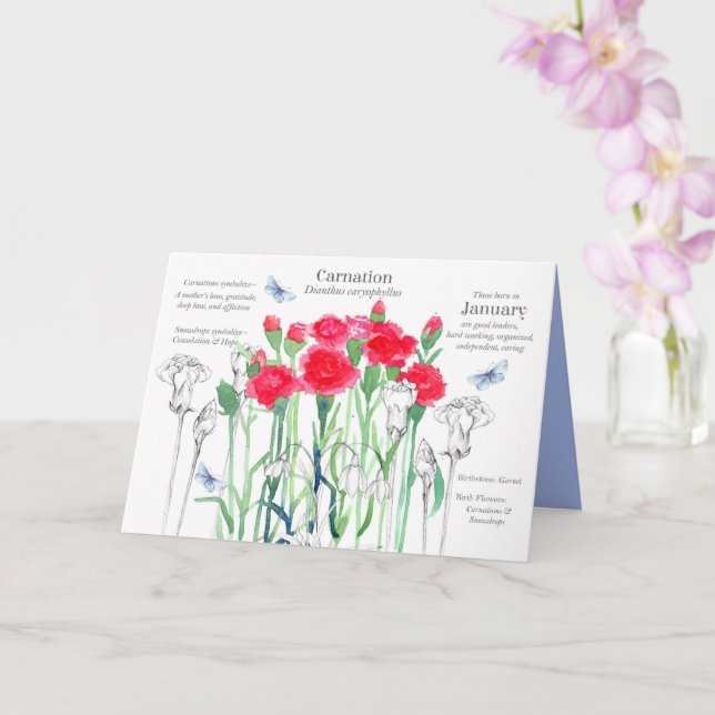 Carte Janvier Anniversaire Fleurs d'oeillet rose rouge (Orchidée)