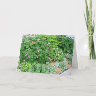 Carte Jardin 1 d'ombre