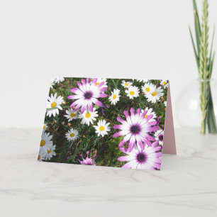 Carte Jardin à fleurs violet blanc