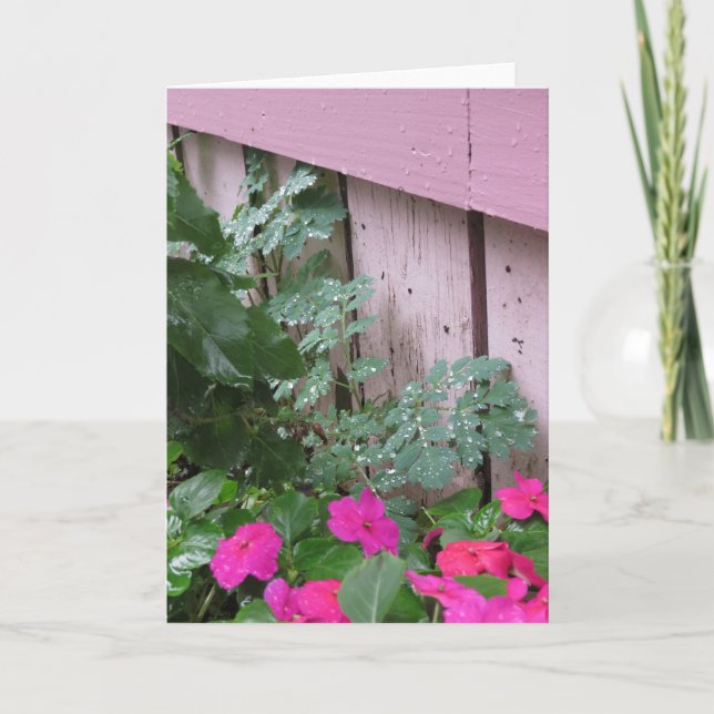 Carte Jardin après la pluie - Vignoble de Martha (Devant)