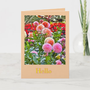 CARTE JARDIN DE DAHLIAS/ DAHLIAS ROSES ET PÊCHE/ "BONJOU