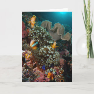 Carte Jardin de poissons d'Anemone