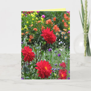 Carte Jardin des fleurs de Dahlia Anniversaire