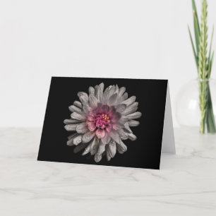 Carte Jardin Fleurs No 91 Version couleur