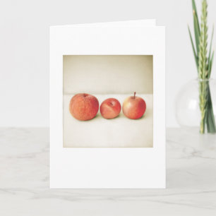 Carte Jardin Fuji Pommes Photo Peinture Vierge Salutatio