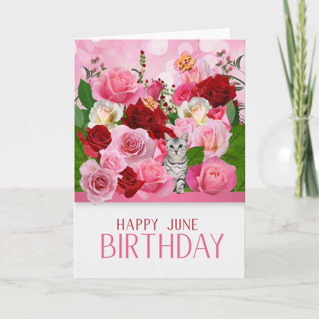 Carte Jardin Kitty et Rose Juin Anniversaire (Devant)