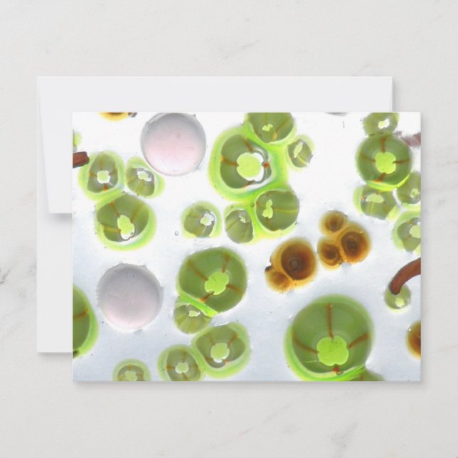 Carte jardin no 10 (Devant)