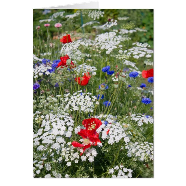 Carte Jardin Patriotique Fleur (Devant)