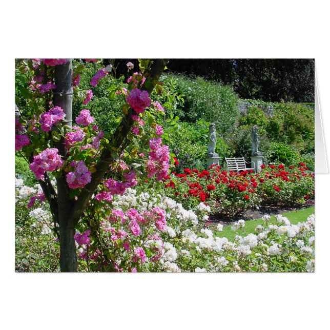 Carte jardin rose (Devant horizontal)