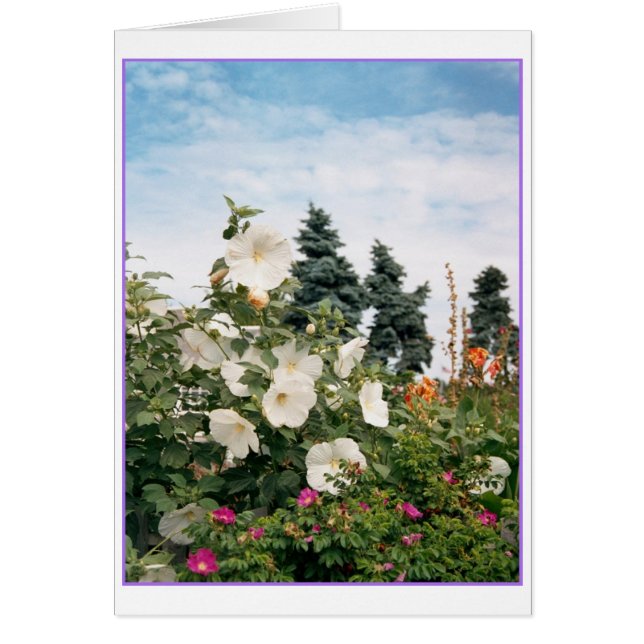 Carte Jardin Vineyard (Devant)