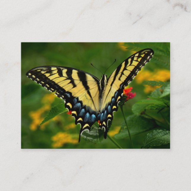 Carte jaune d'ATC de papillon de machaon de tigre (Devant)