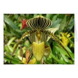 Carte jaune de fleur d'orchidée