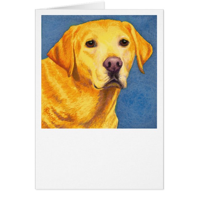 Carte jaune de laboratoire - "Mixsy " (Devant)