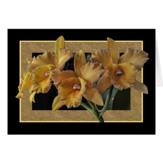 Carte jaune d'orchidées encadrée par noir